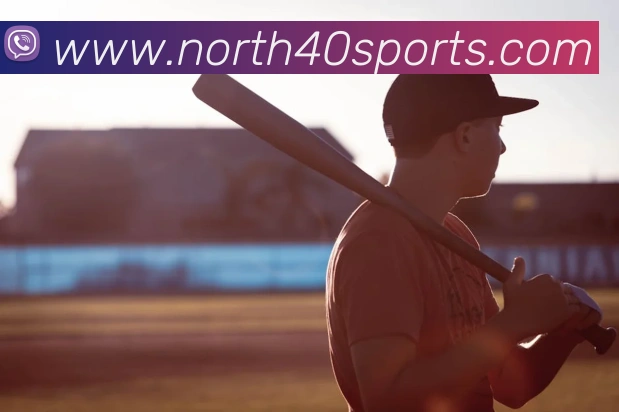 体育下注平台生态图